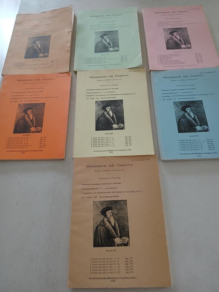 Stemmen uit Genève, Boeken, Ophalen of Verzenden, Gelezen