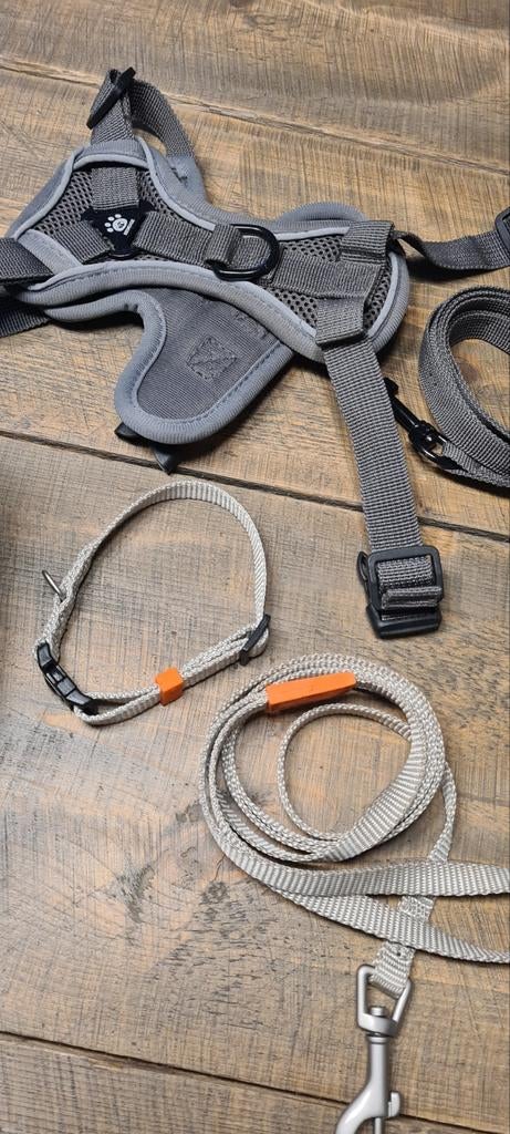 Puppy tuig, halsbandje, 2 riempjes, tas en regenjas, Dieren en Toebehoren, Ophalen of Verzenden, Zo goed als nieuw