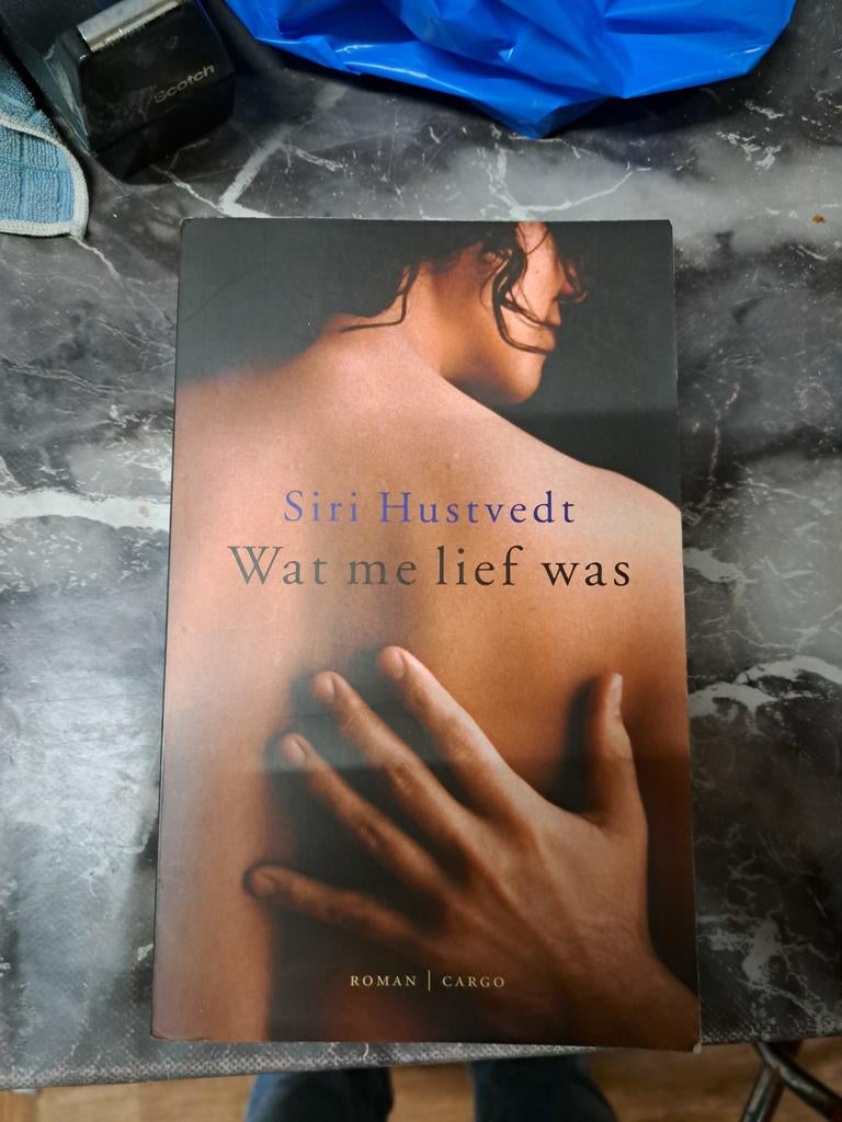 Siri Hustvedt - Wat me lief was, Siri Hustvedt, Ophalen of Verzenden, Zo goed als nieuw