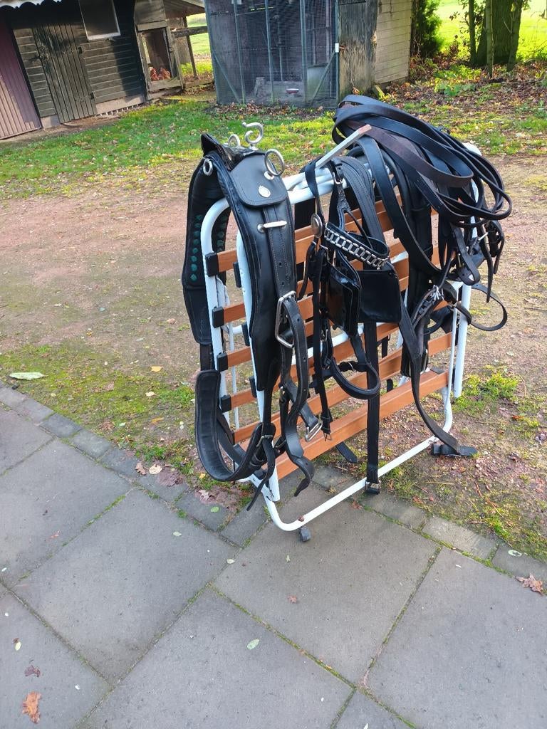 Te koop, Dieren en Toebehoren, Ophalen, Overige soorten