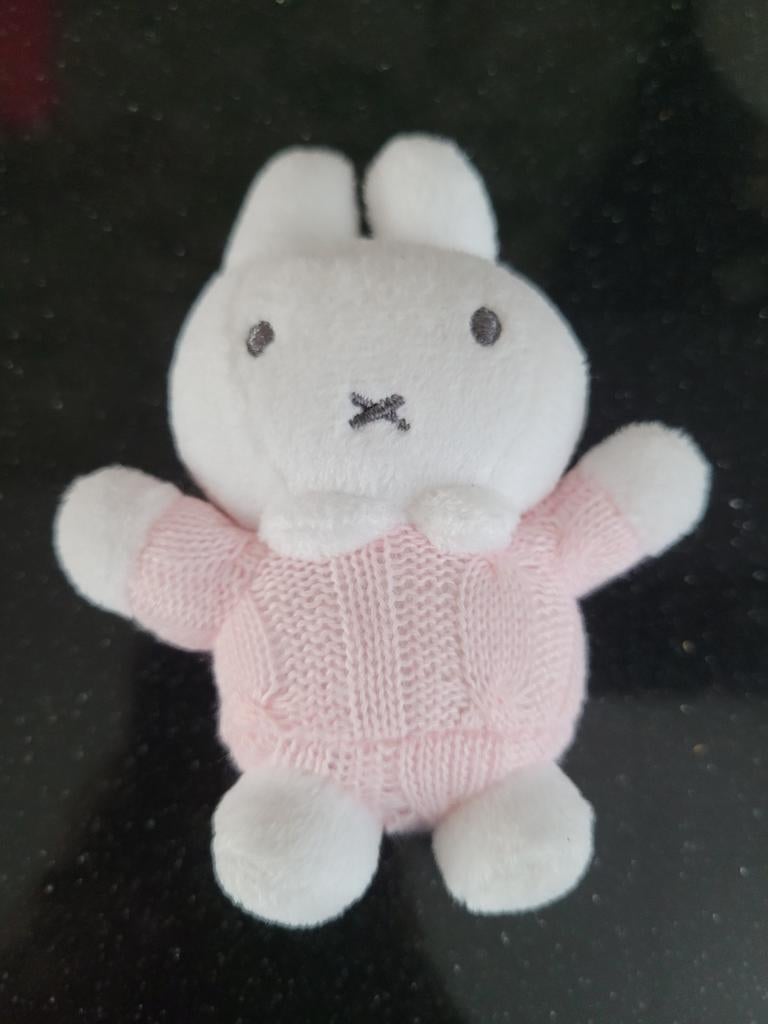 Nijntje knuffel met roze trui 10 cm, Kinderen en Baby's, Speelgoed | Knuffels en Pluche, Nijntje, Ophalen of Verzenden, Met kleding of accessoire