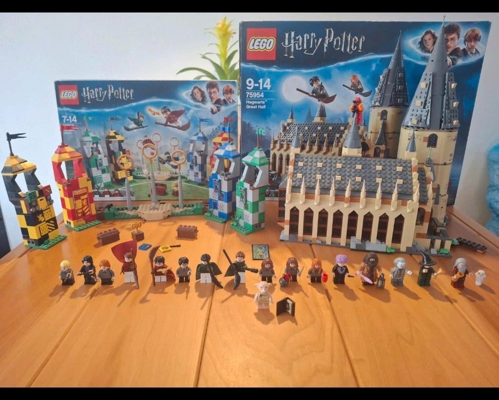 Lego Harry potter 75954 & 75956+ free dobby minifigure, Ophalen of Verzenden, Zo goed als nieuw, Complete set, Lego