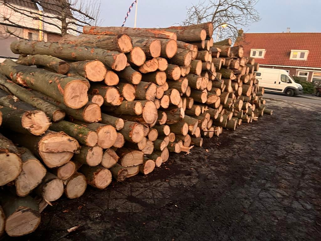 Openhaardhout, 6 m³ of meer, Ophalen of Verzenden, Overige houtsoorten, Stammen