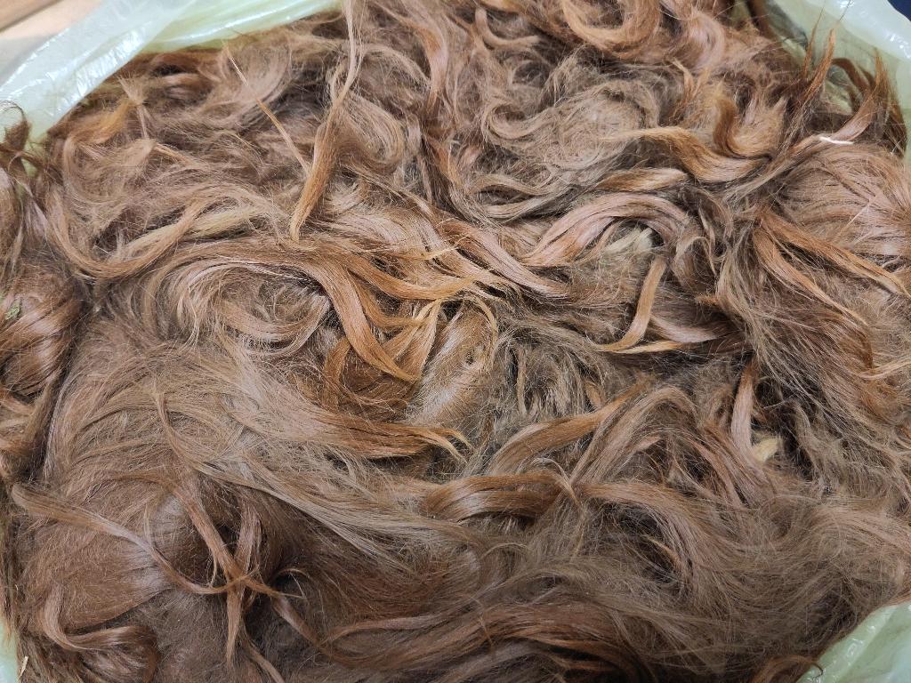 Ruwe alpaca suri wol, donker fawn (bruin), Ophalen of Verzenden, Nieuw, Spinwol