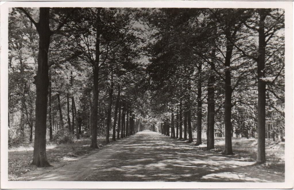 Bilthoven  Gezichtslaan, Ophalen of Verzenden, Gelopen, Utrecht