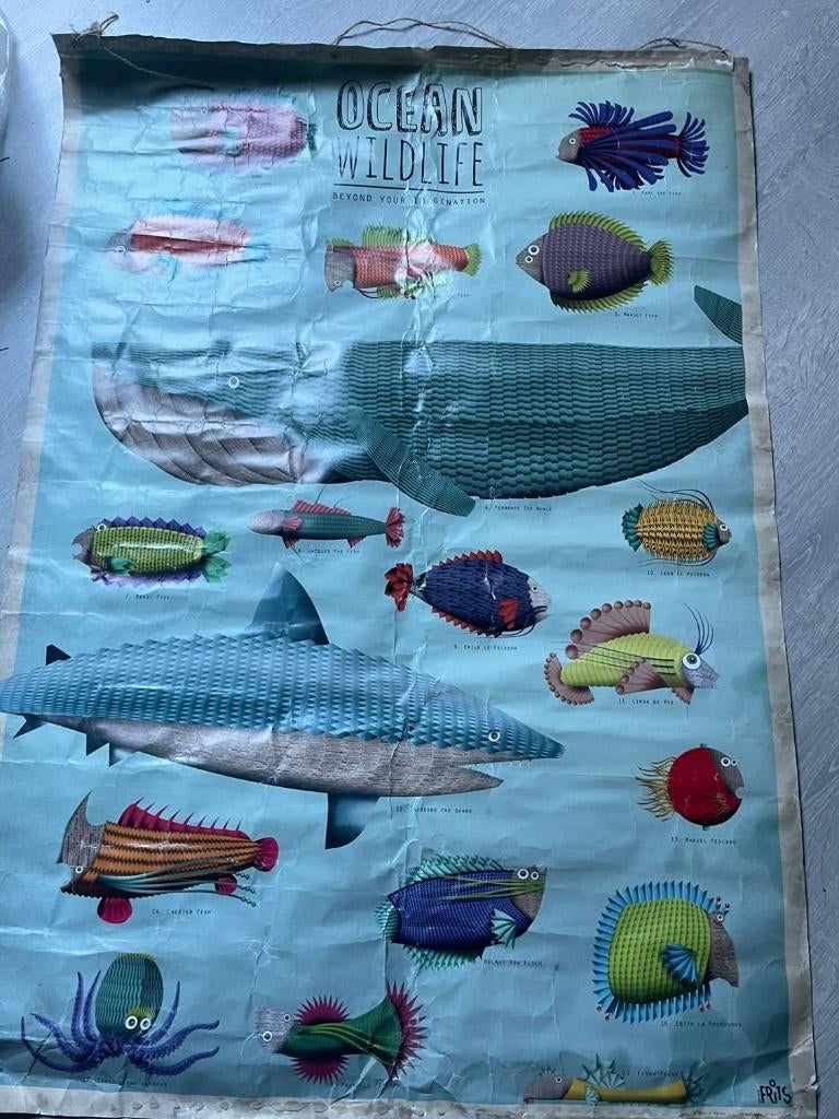 Wandposter, Huis en Inrichting, Ophalen of Verzenden, Gebruikt