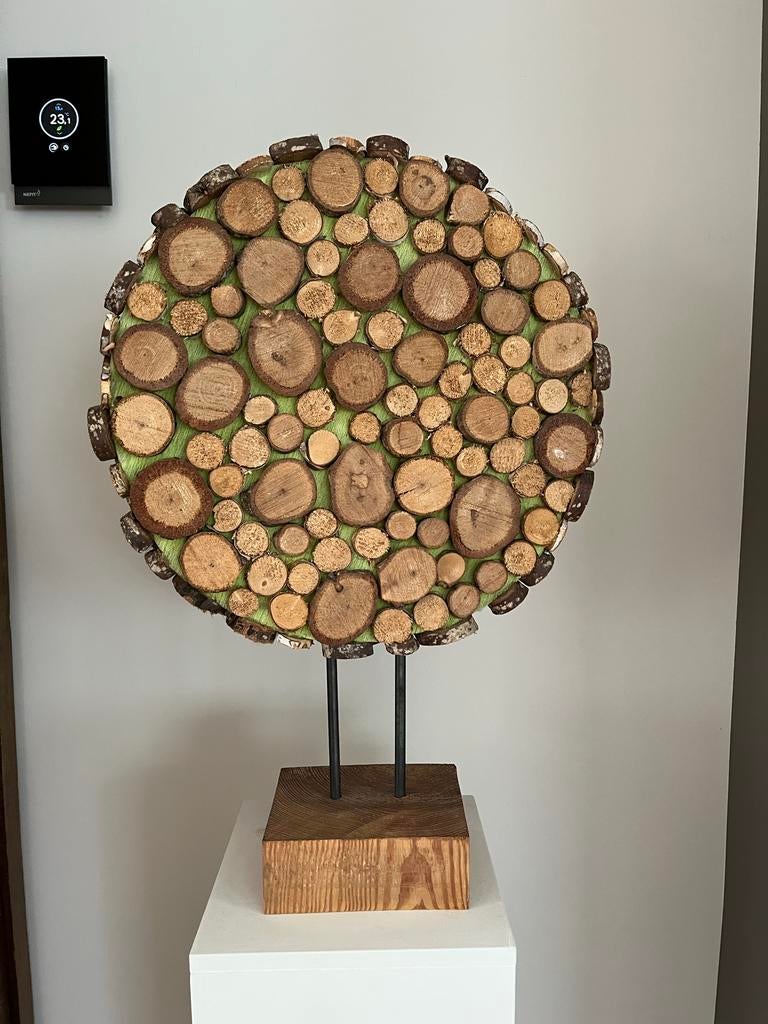 Kunstobject van Houtschijfjes, Ophalen of Verzenden, Zo goed als nieuw