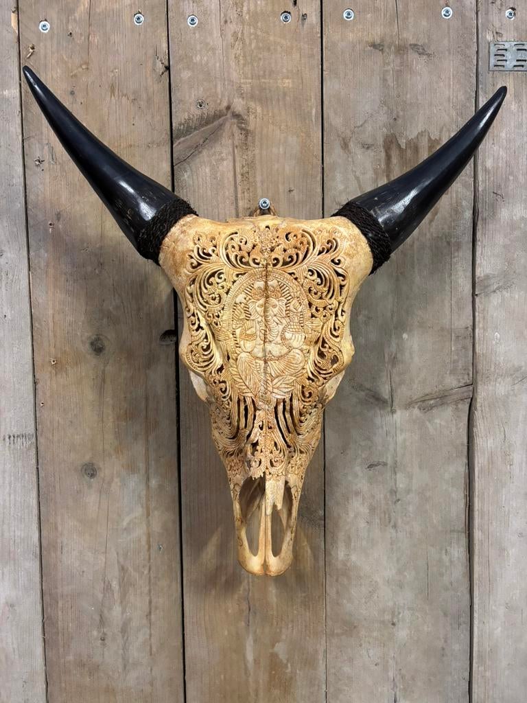 Gegraveerde koe schedel (Ganesha), Verzamelen, Dierenverzamelingen, Nieuw, Schedel, Overige soorten, Ophalen