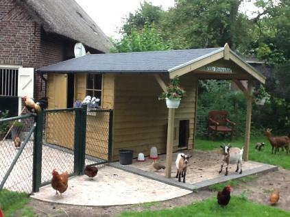 geitenhokken, Dieren en Toebehoren, Overige Dieren-accessoires, Nieuw, Ophalen of Verzenden