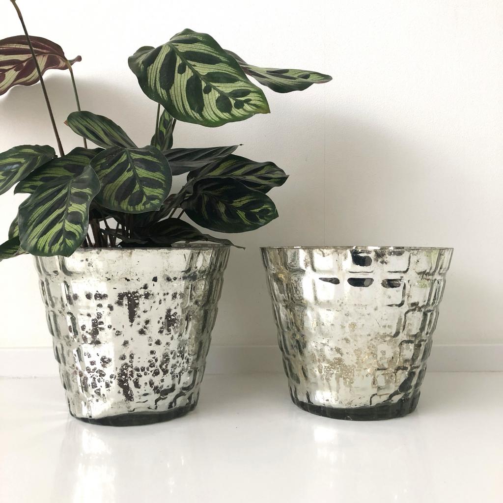 Riviera Maison glazen windlichten / bloempotten zilver glas, Overige materialen, Rond, Ophalen of Verzenden, Minder dan 40 cm