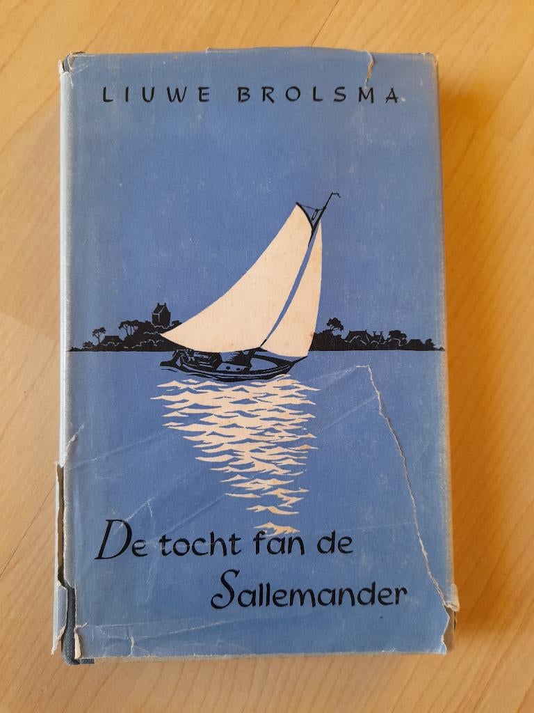 DE TOCHT FAN E SALLEMANDER door Liuwe Brolsma friestalig, Boeken, Ophalen of Verzenden, Gelezen