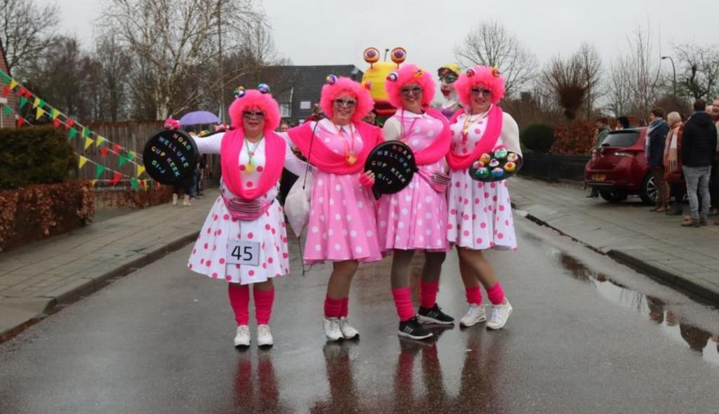 Leuke carnavalsjurken, Kleding | Dames, Carnavalskleding en Feestkleding, Ophalen of Verzenden, Zo goed als nieuw, Carnaval