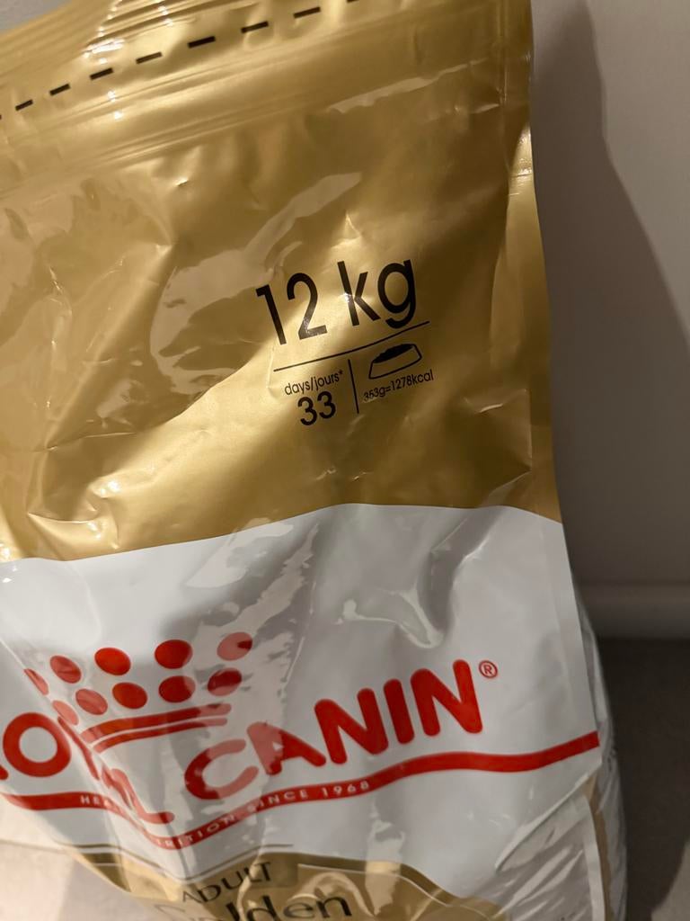 Royal Canin Golden Retriever, Ophalen of Verzenden, Hond