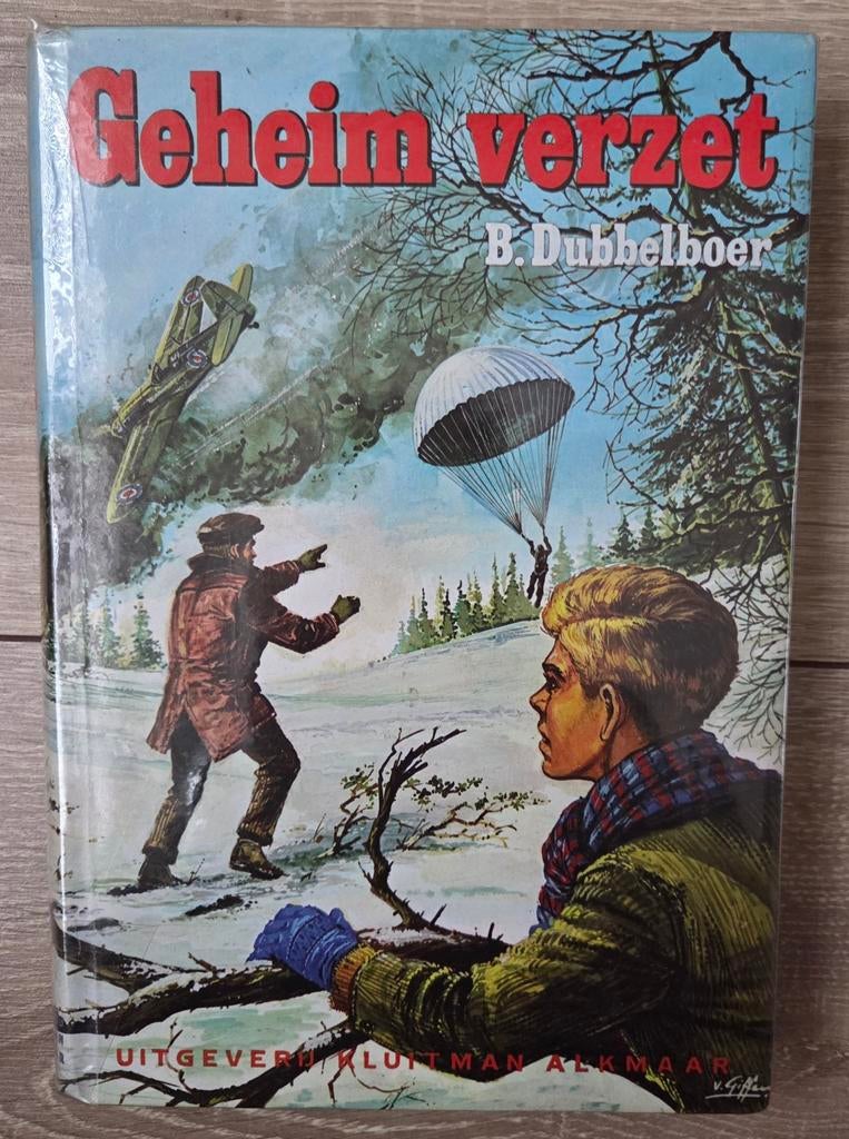 Beene Dubbelboer - Geheim verzet, Ophalen of Verzenden, Zo goed als nieuw, Beene Dubbelboer