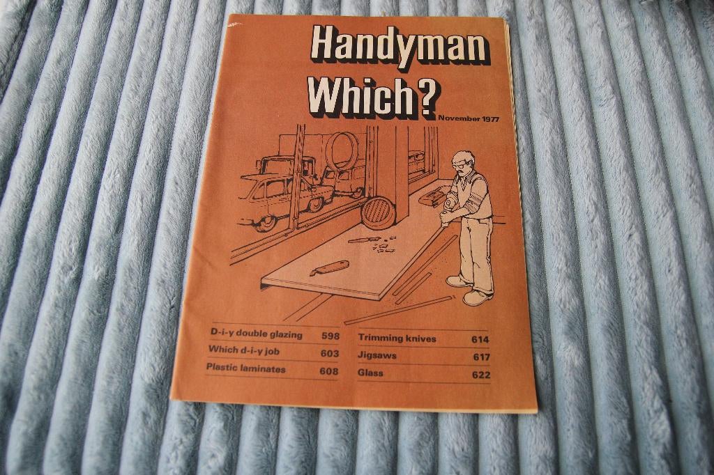 Handyman Which?, Ophalen of Verzenden, Gelezen, Overige typen