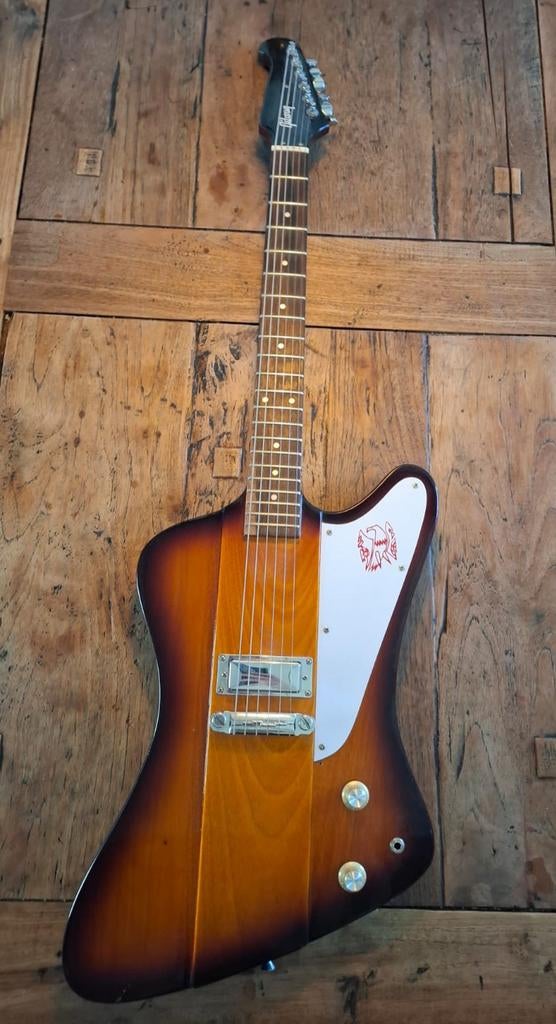 Chibson Firebird One, Ophalen, Gebruikt, Solid body, Gibson