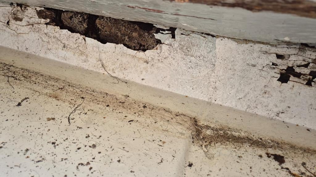 Placom bootje 400x170cm, gratis af te halen, Ophalen of Verzenden