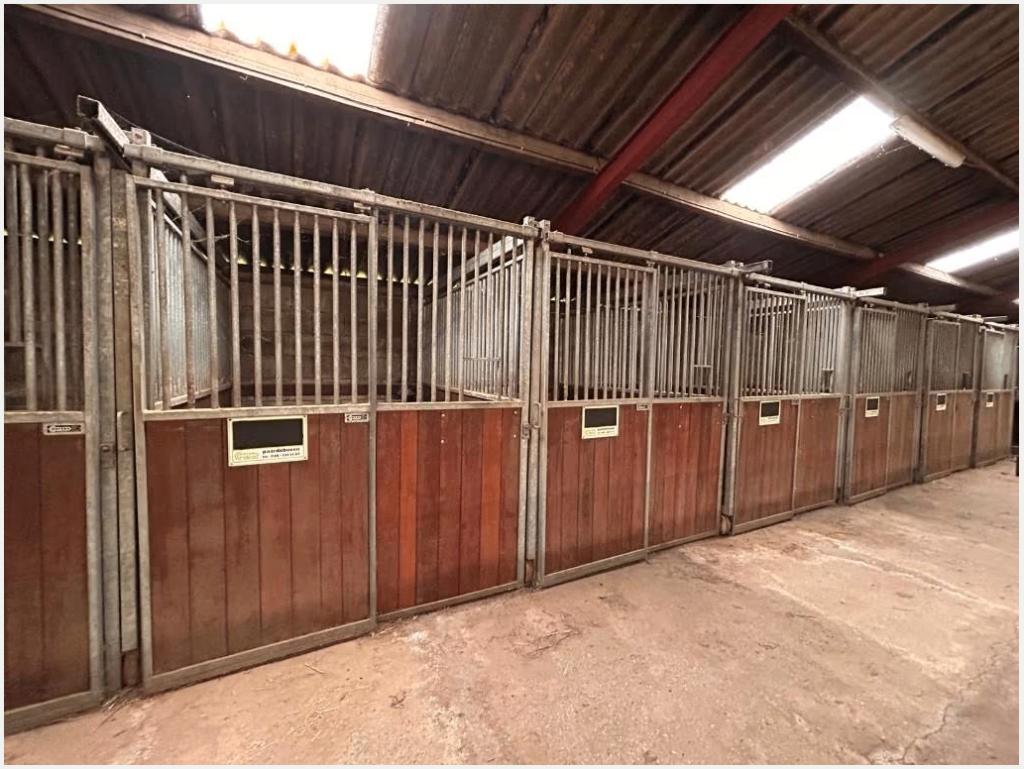 Corton voorwanden | 1.93 x 2.40 m., Weidegang, 4 paarden of pony's of meer
