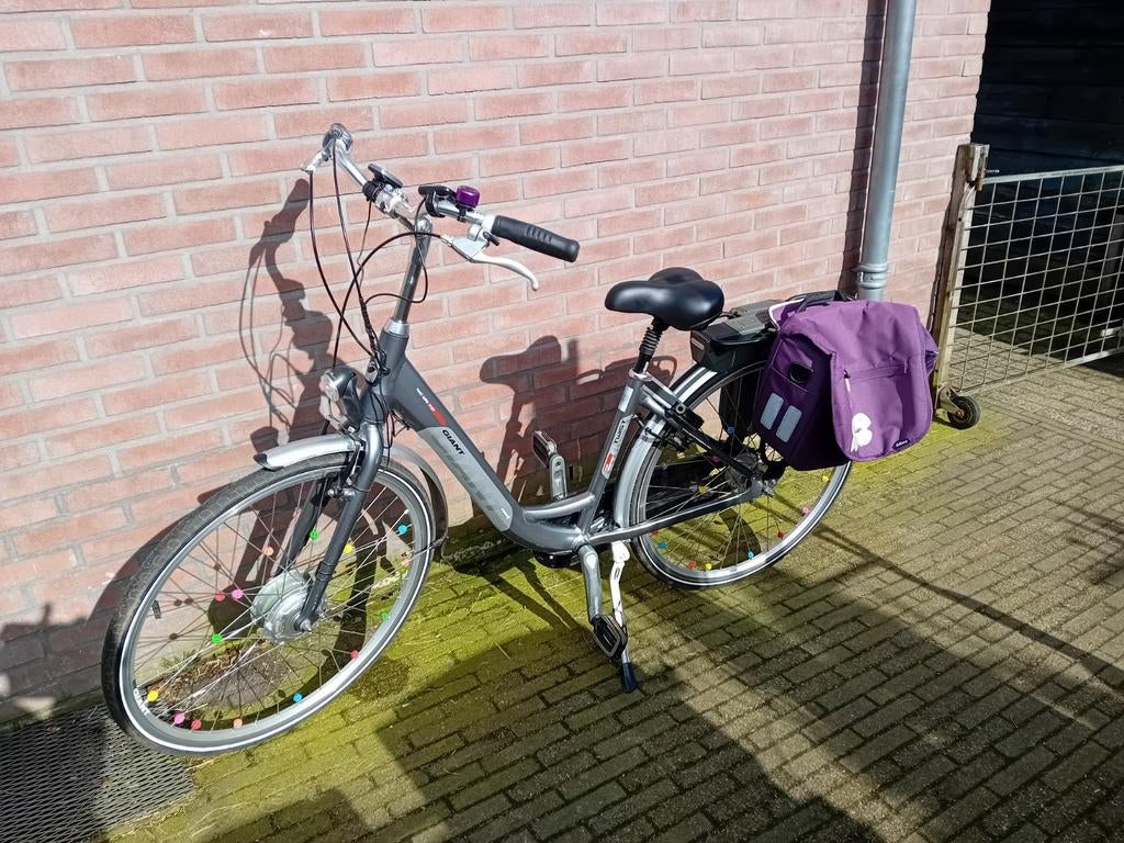 Giant Twist Lite elektrische kinderfiets, Ophalen, Giant, Zo goed als nieuw, 47 tot 51 cm