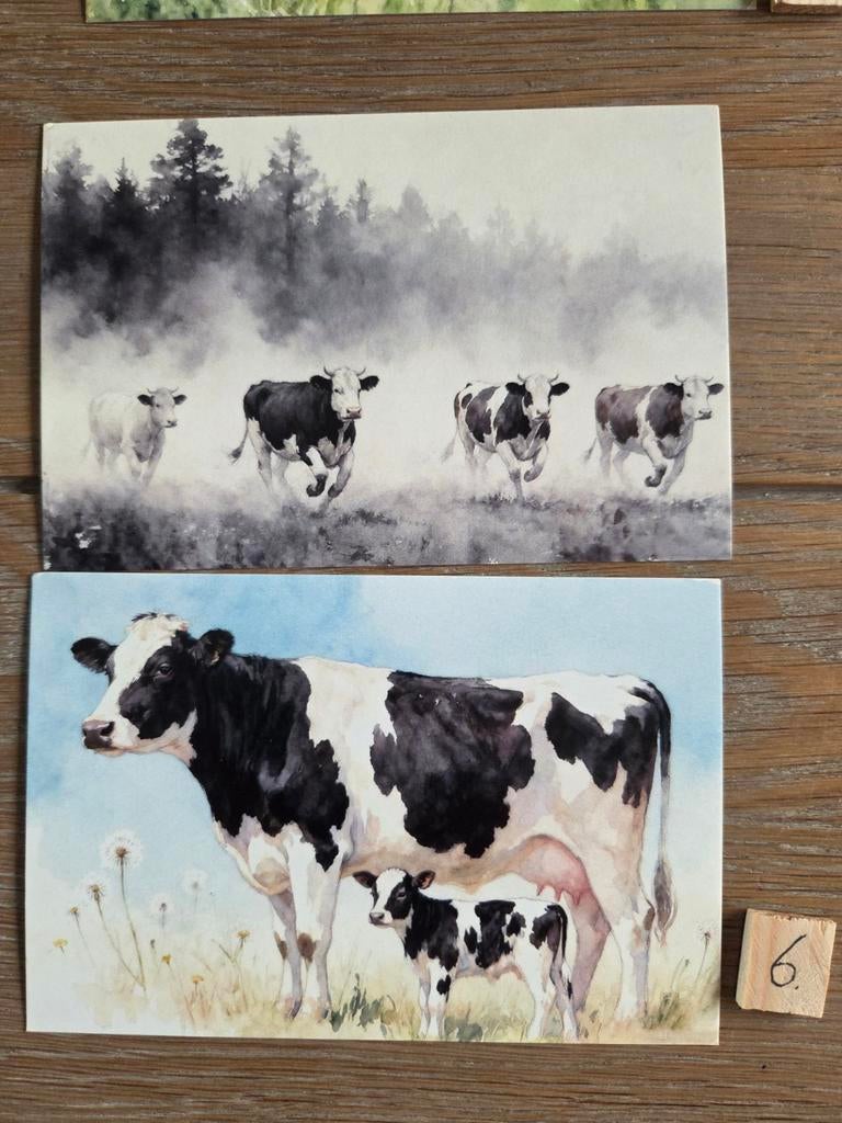 KOEIEN 6, Verzamelen, Ophalen, Voor 1920, Hond of Kat