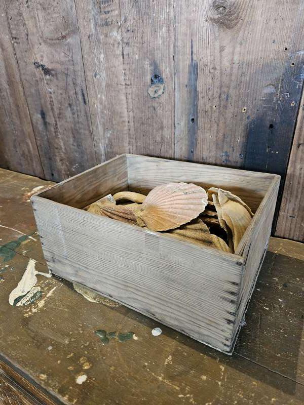 bakje schelpen ``WOONWINKEL RUSTIEK``, Ophalen of Verzenden