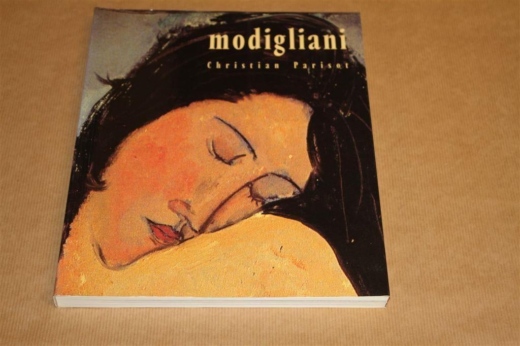 Prachtig boek over het werk van Modigliani, Ophalen of Verzenden, Zo goed als nieuw