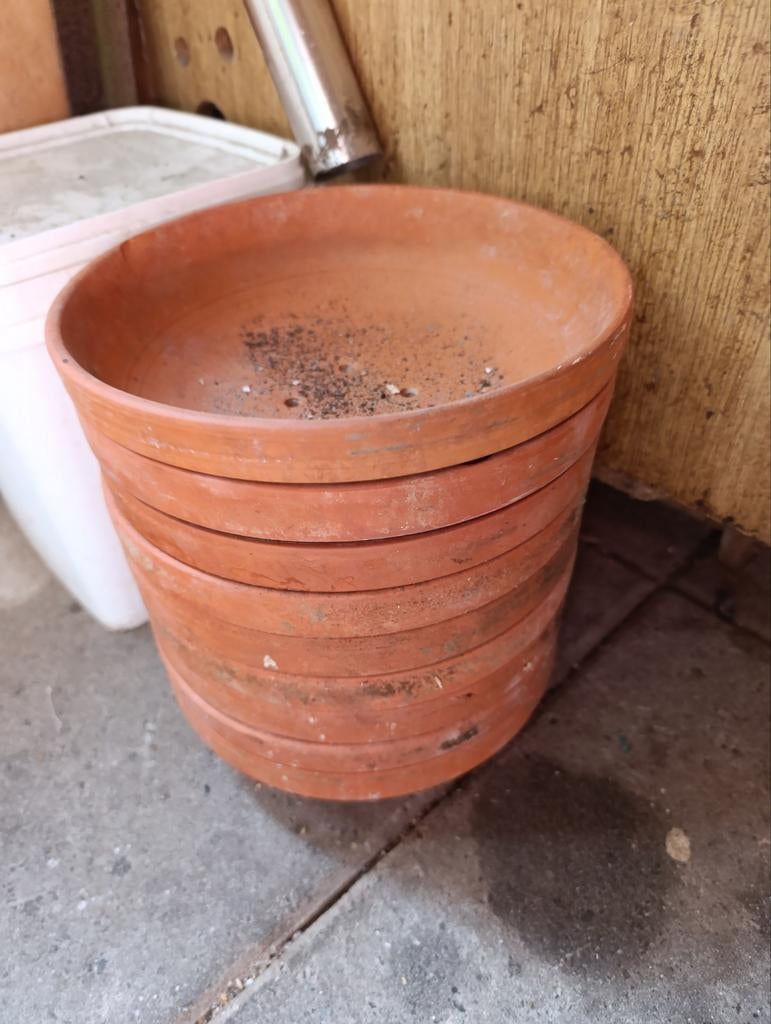 15x broedschaal duif, Ophalen, Zo goed als nieuw, Kooi-accessoires