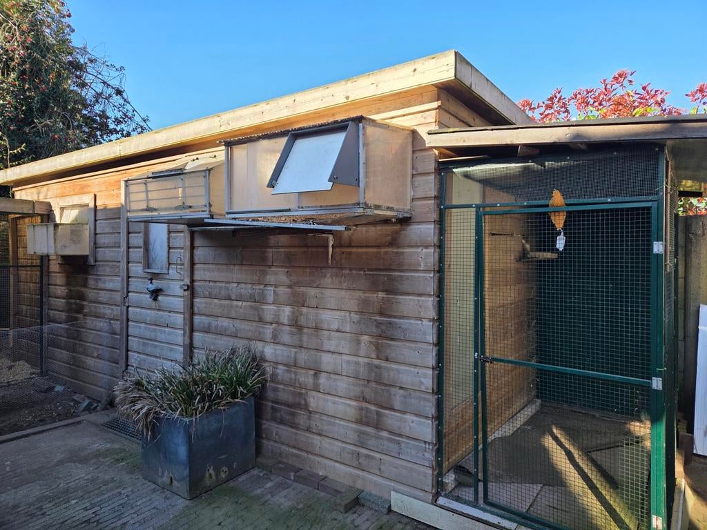 Duivenhok, Ophalen of Verzenden