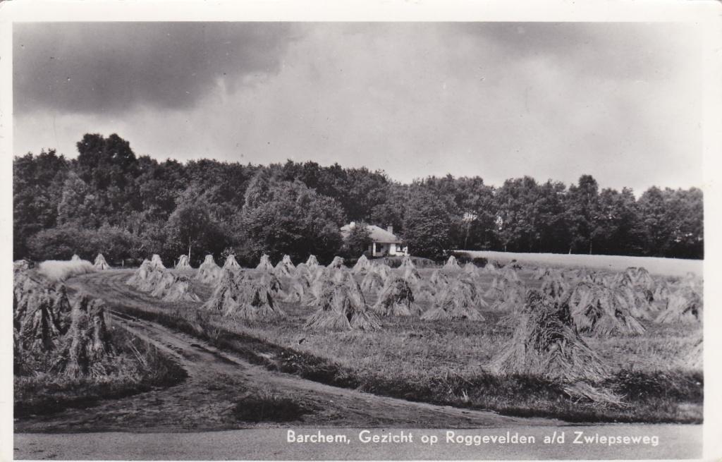 GA1031 Barchem Gezicht en Roggevelden ad Zwiep seweg  Lochem, Verzenden, 1940 tot 1960, Gelopen, Gelderland