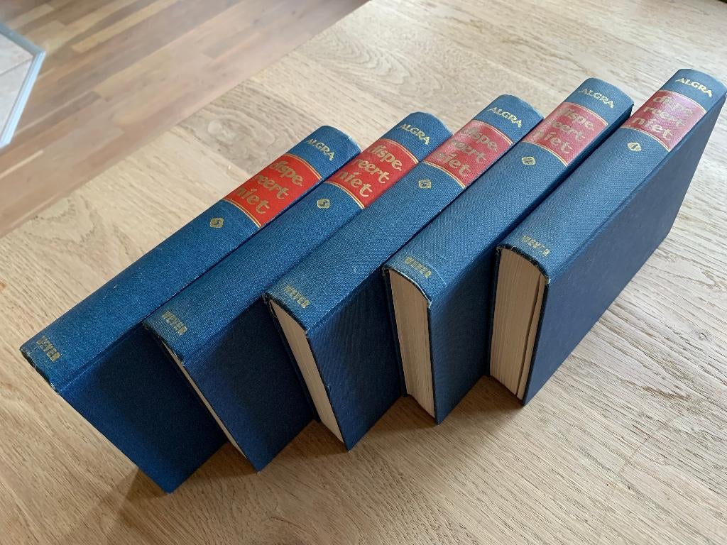 Geschiedenis Nederland / Dispereert niet / Algra, Ophalen of Verzenden, 20e eeuw of later, Gelezen