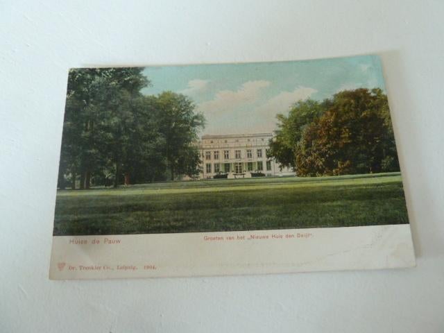 Wassenaar circa 1900-05 Huize de Pauw Nieuwe Huis den Deijl, Ophalen of Verzenden, Voor 1920, Ongelopen, Zuid-Holland