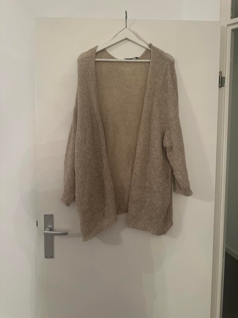 Zara gebreid vest - beige, Ophalen of Verzenden, Zo goed als nieuw, Maat 42/44 (L), Beige