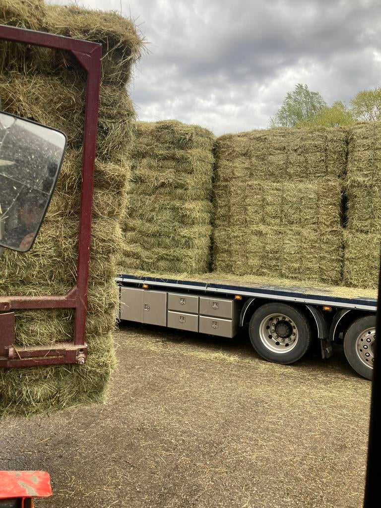 Suikerarm Kruidenhooi Hooi Hooibalen kleine baaltjes, Dieren en Toebehoren, Ophalen, Vee