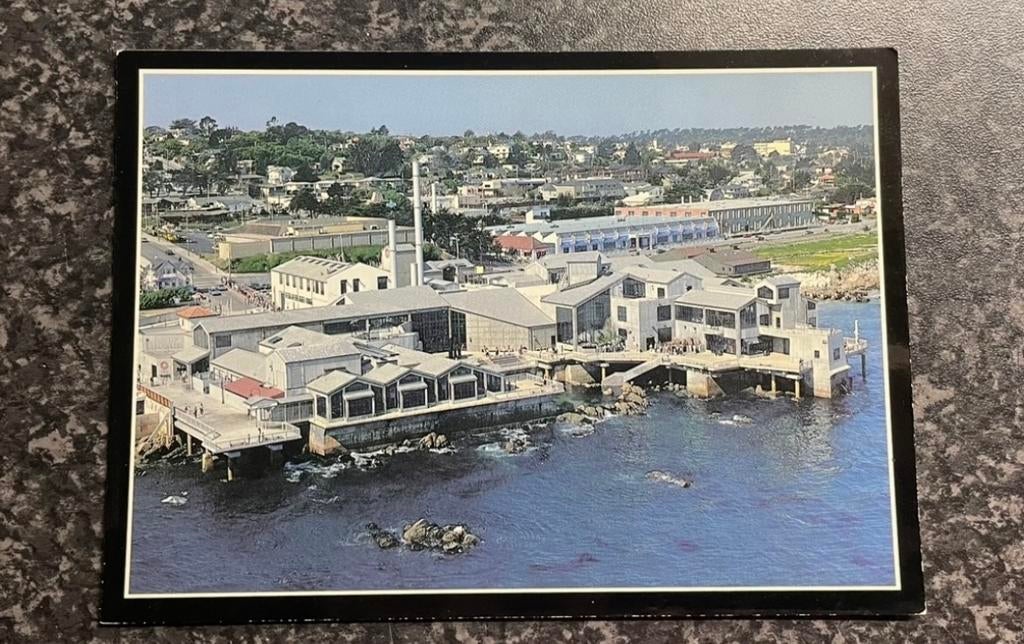 MONTEREY BAY AQUARIUM POSTCARD, Ophalen of Verzenden, 1980 tot heden, Ongelopen, Buiten Europa