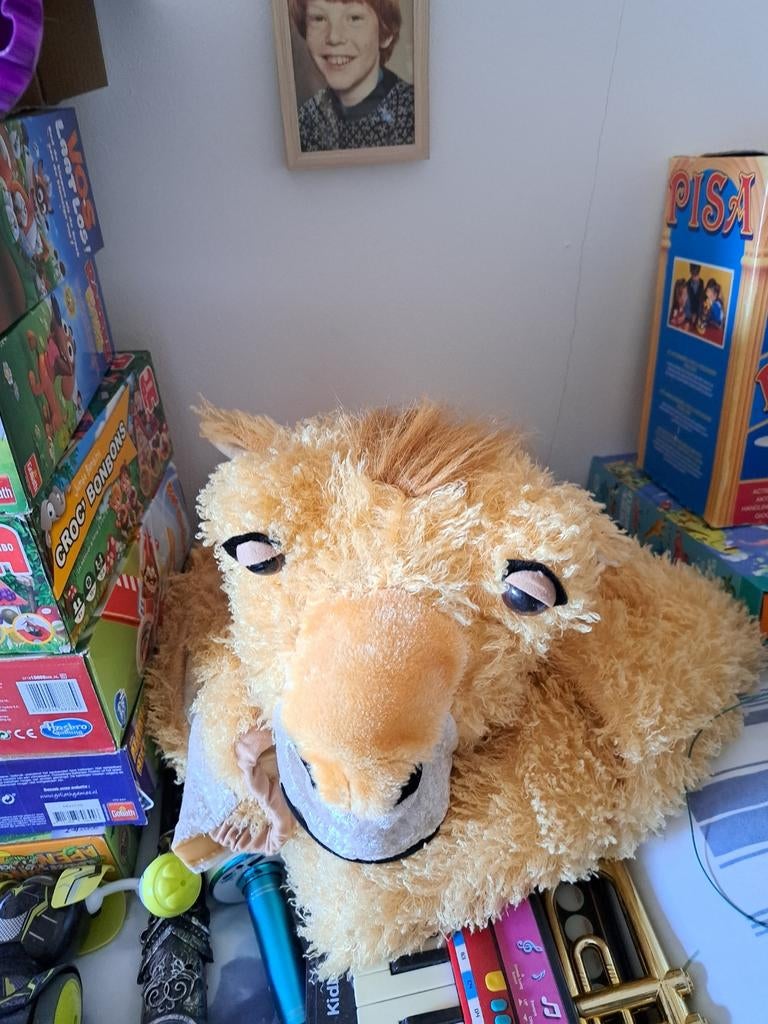 Feest,Kamelenpak.Kind.mt.140., Ophalen of Verzenden, Zo goed als nieuw, Jongen of Meisje