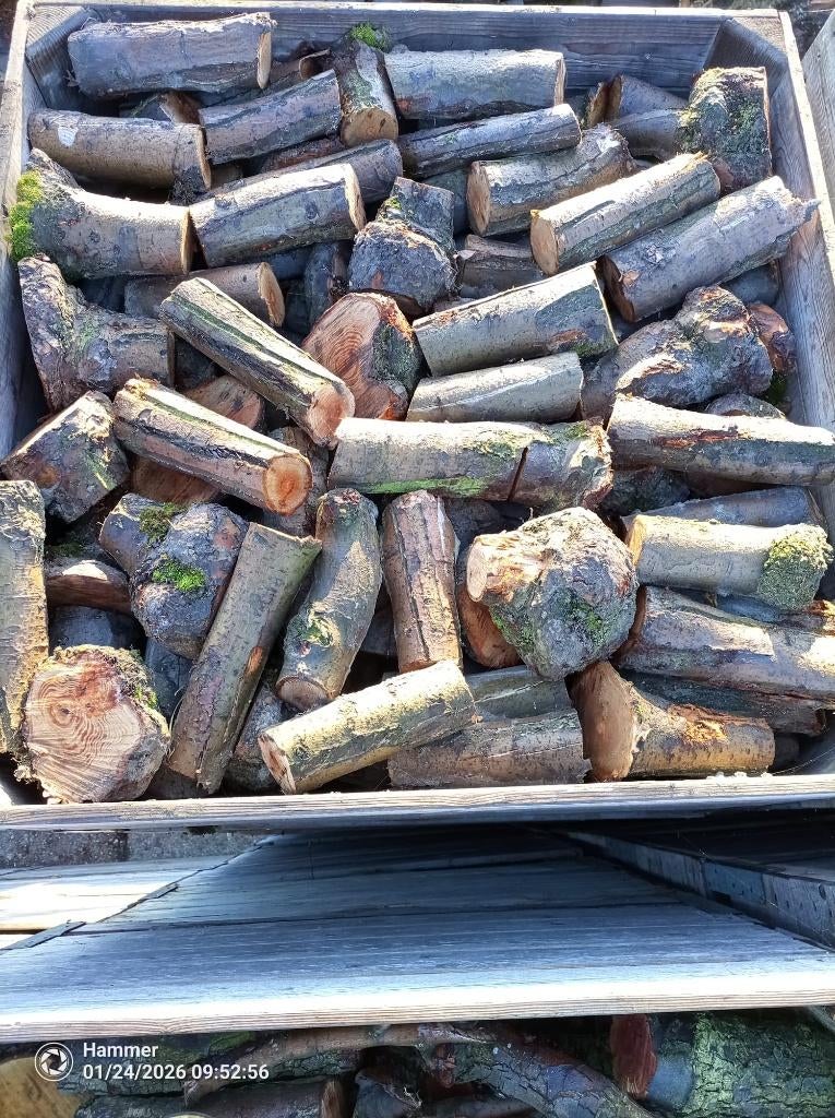 Openhaardhout appel, pas gerooid, 6 m³ of meer, Ophalen, Overige houtsoorten