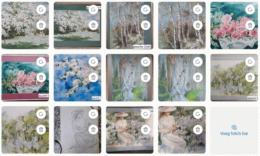 Galerie Els ten Cate - diverse werken, Ophalen of Verzenden