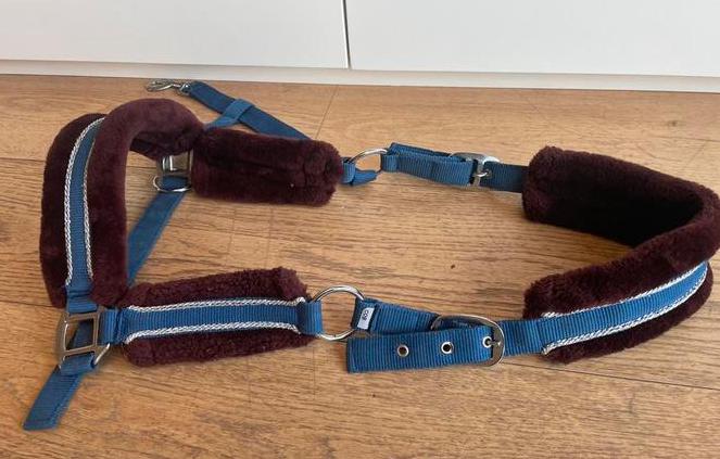 Halster Harry’s horse maat maat cob, Ophalen of Verzenden, Gebruikt, Recreatie