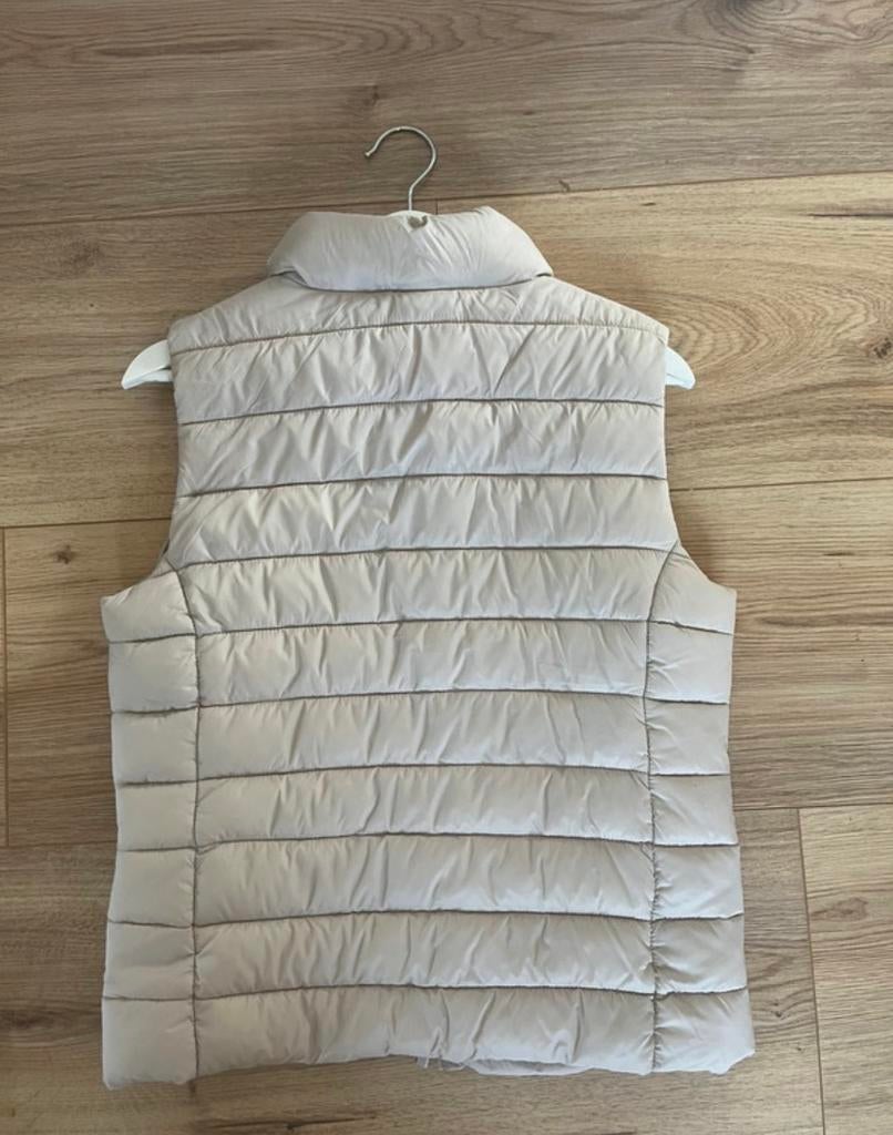Primark Bodywarmer Maat 158/164, Kleding | Dames, Bodywarmers, Ophalen of Verzenden, Zo goed als nieuw, Maat 38/40 (M)