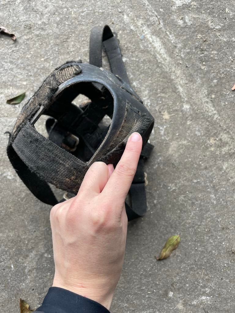 Graasmasker maat pony, Ophalen of Verzenden, Gebruikt, Overige soorten