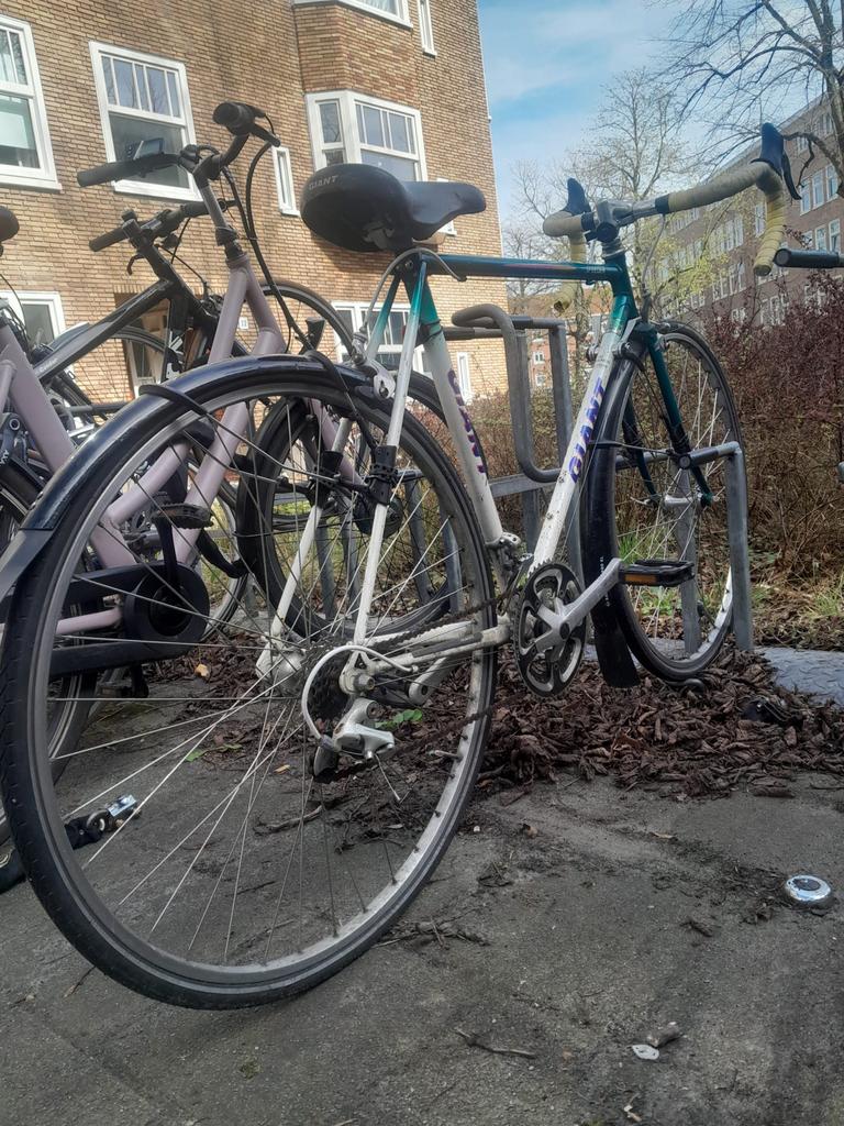Retro Giant racefiets - Ideaal voor stad en winter, Ophalen, Gebruikt, Staal, Dames