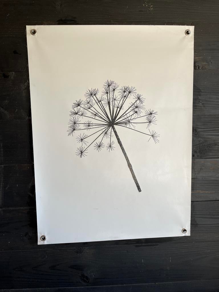 Tuinposter, Tuin en Terras, Tuinwanddecoratie, Ophalen, Gebruikt