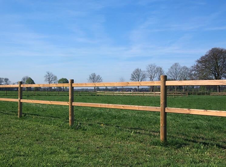 18. Omheining | paardenbak | paddock omheining, Weidegang, 4 paarden of pony's of meer