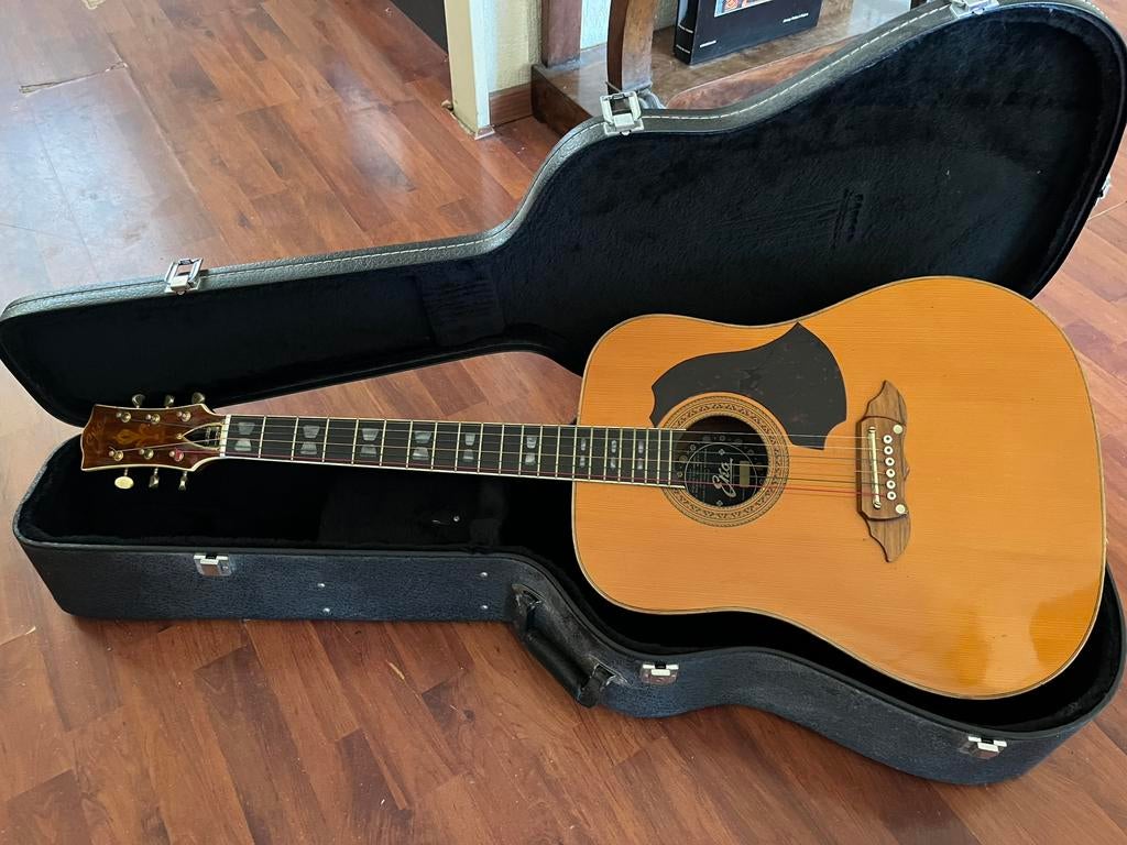 Mooie vintage Eko luxe model gitaar, Ophalen, Zo goed als nieuw, Western- of Steelstringgitaar