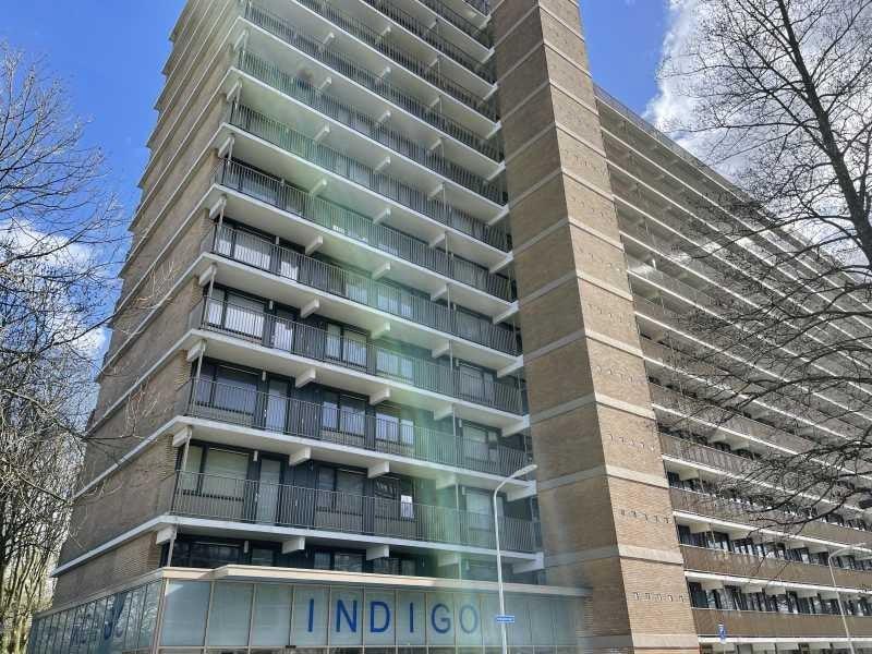 NIEUW! Woonruimte te huur Indigostraat, Zaandam