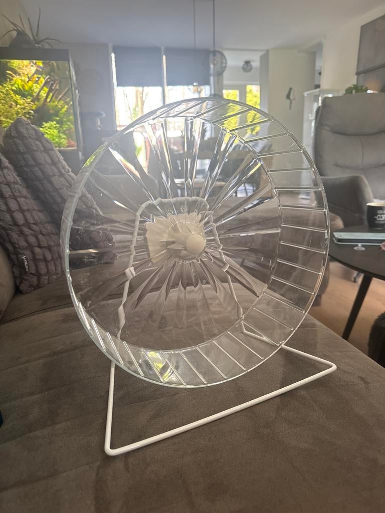 Loopwiel voor knaagdieren, Ophalen, Zo goed als nieuw, Loopwiel of Rad