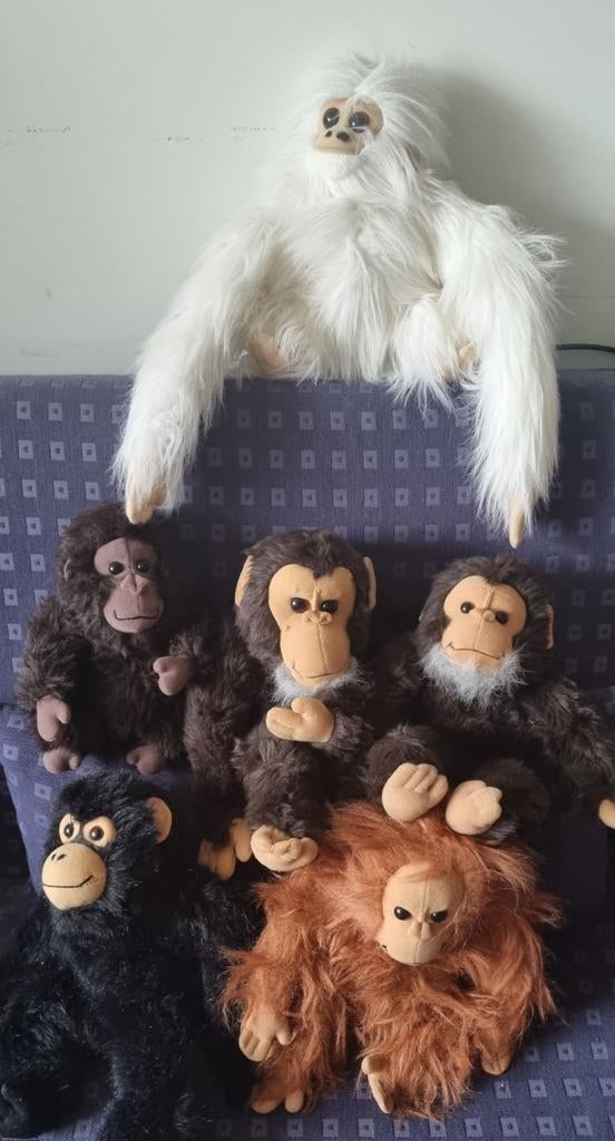 Knuffels, Verzamelen, Poppen, Ophalen of Verzenden, Zo goed als nieuw, Pop