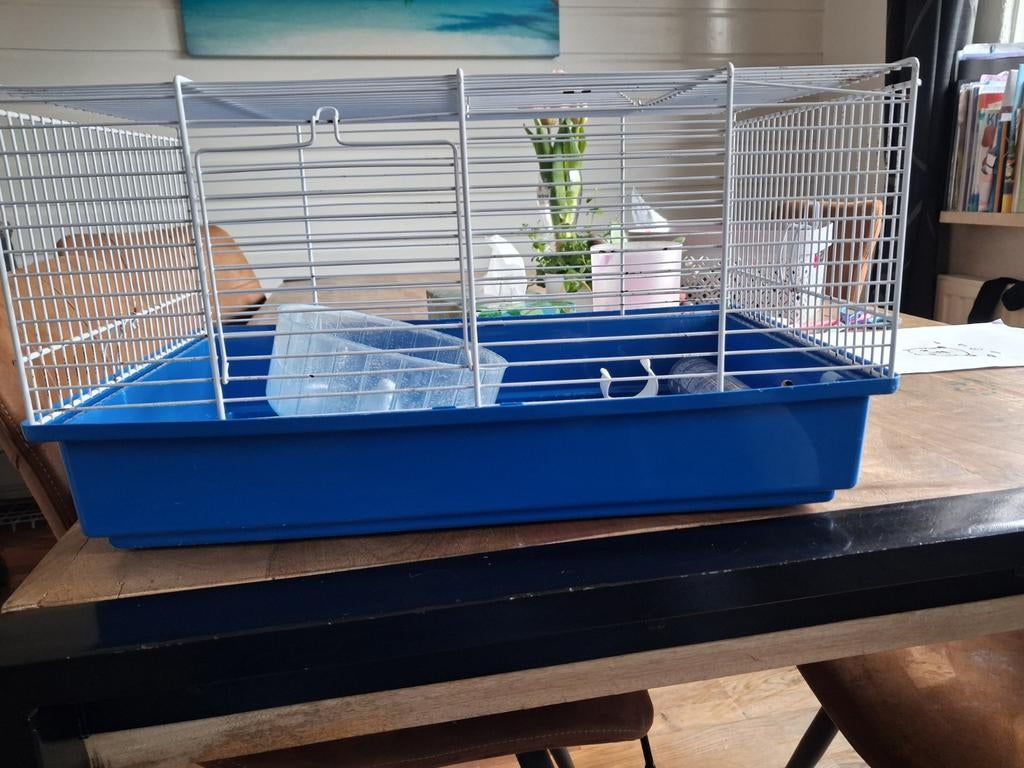 Hamsterhok, Dieren en Toebehoren, Gebruikt, Minder dan 75 cm, Hok, Ophalen