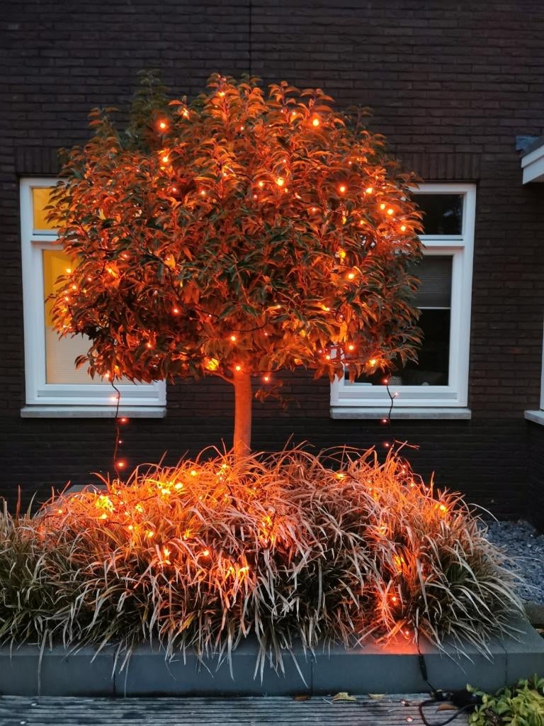 diverse LED sfeerverlichtingen voor ORANJE evenementen, Huis en Inrichting, Import en Groothandel Lili, Enschede, Ophalen of Verzenden