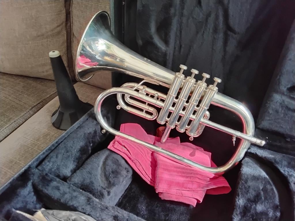 Getzen Bugel met 4 ventielen, inclusief standaard, Ophalen, Gebruikt, Koperblazer, Met koffer of draagtas